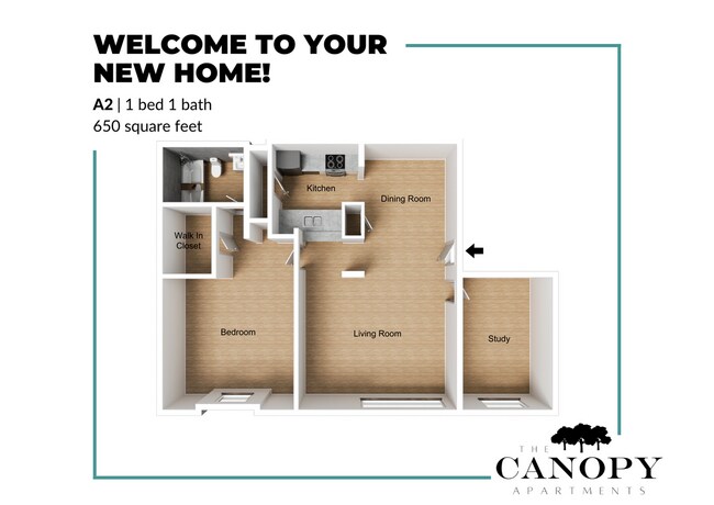 1 bed 1 bath - The Canopy