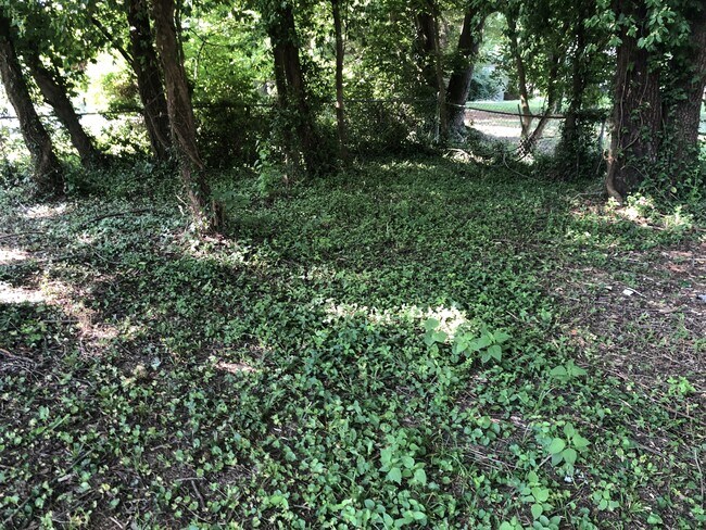 Building Photo - 5004 Winding Spring Pl