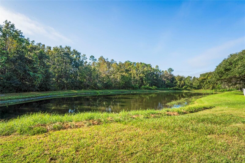 Building Photo - 27004 Stillbrook Dr