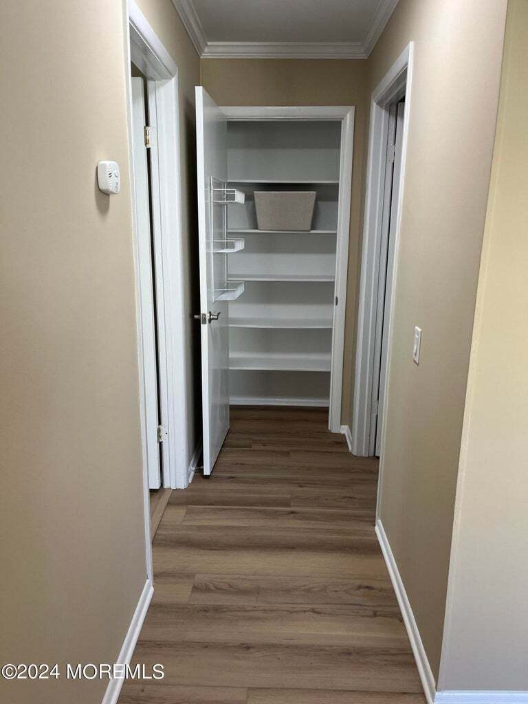 Lots of closets throughout - 7A Ivy St