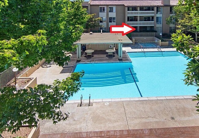 Pool - 1775 Diamond St