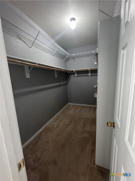 Building Photo - 701 Black Hills Trail
