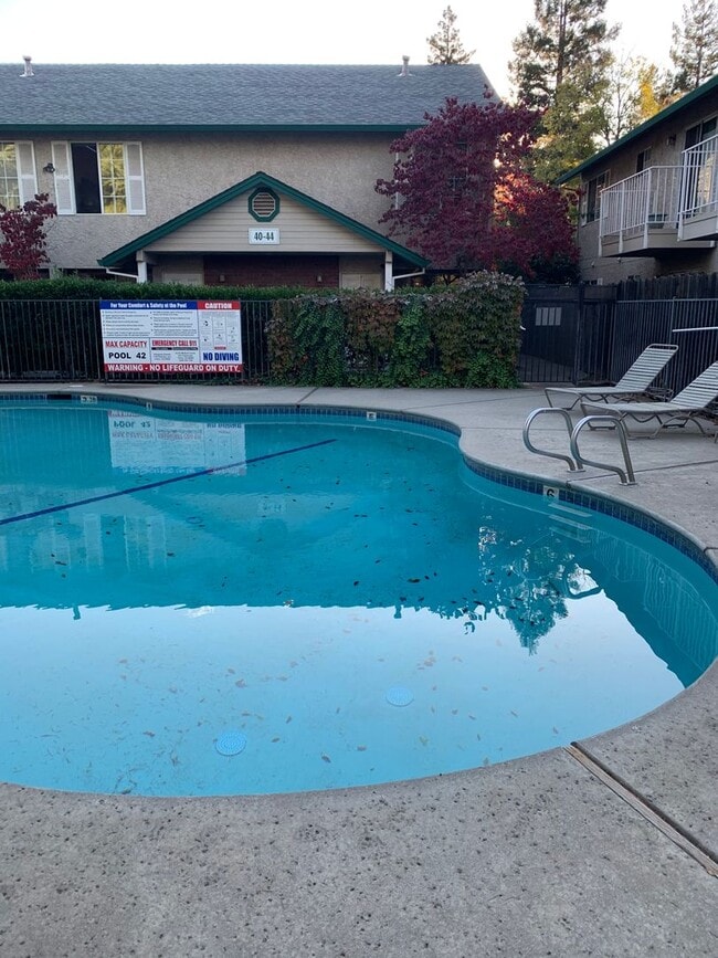 Building Photo - updated condo in central location