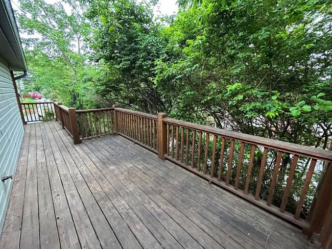 Building Photo - East Asheville - Contemporary Bungalow