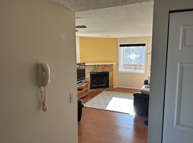 Main Living Room From Entryway - 9725 Independence Dr