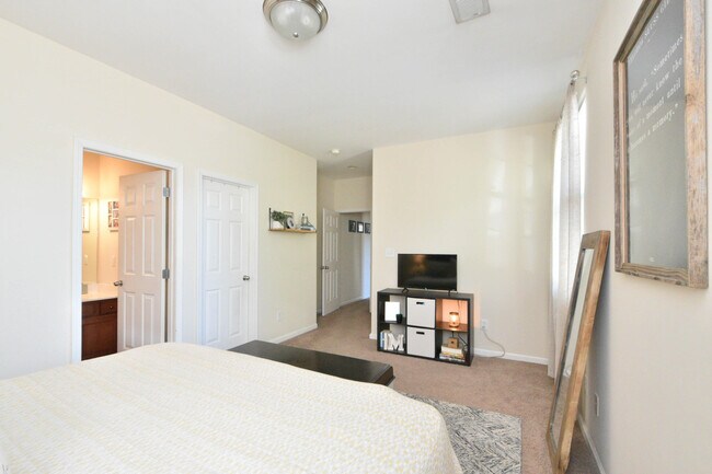 Building Photo - 2537 Sun Seeker Ct