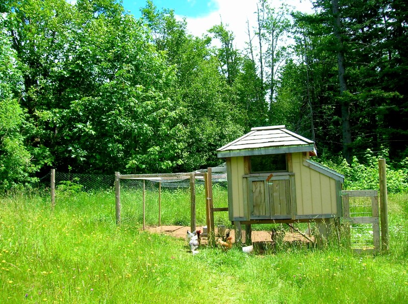 Building Photo - 1002 Jessup Rd