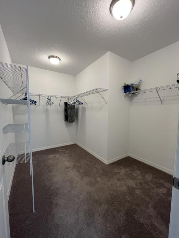 Building Photo - 12218 Gothic Rd