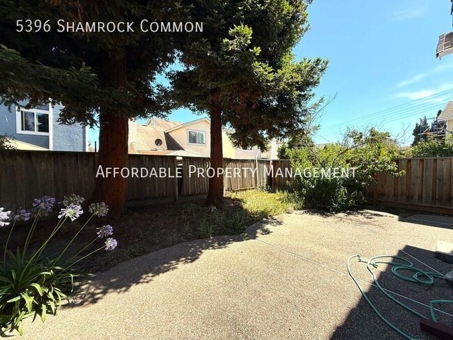 Building Photo - 5396 Shamrock Common