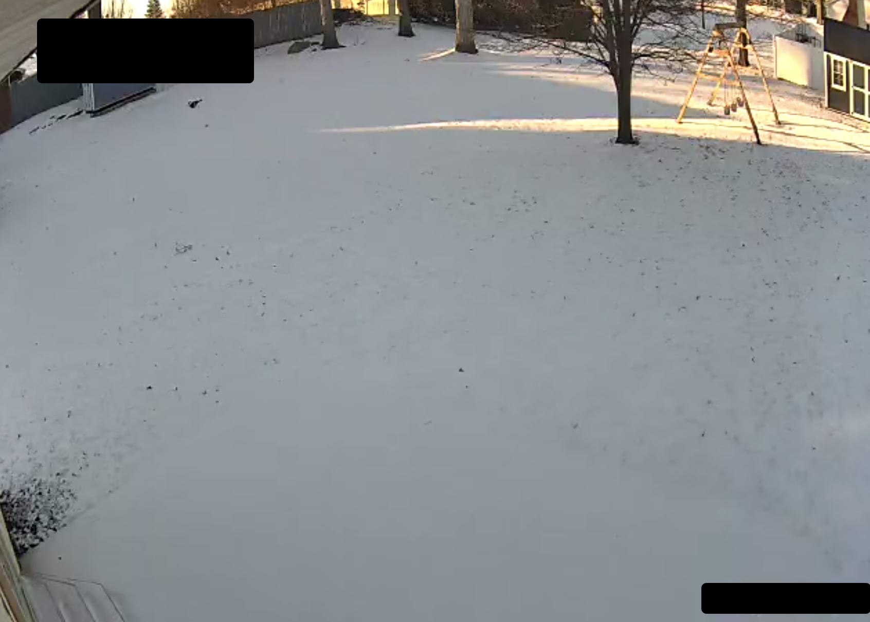 Left Backyard - 1478 E 10th St