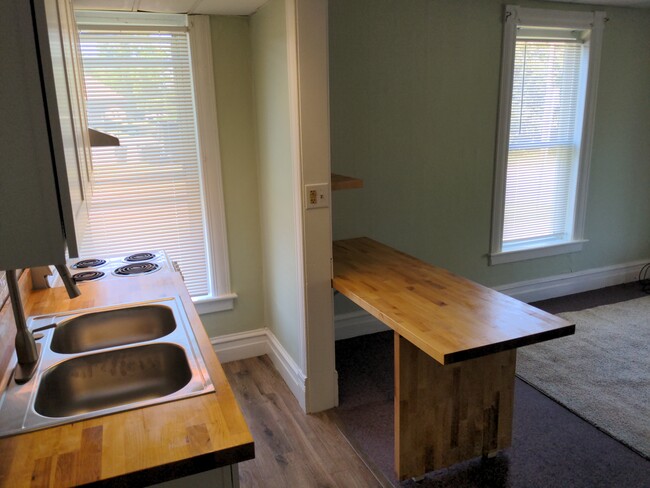 Style E1: 1 bedroom / 1 bath, newly renovated, natural custom-milled built-in woodwork - 21 Depot St