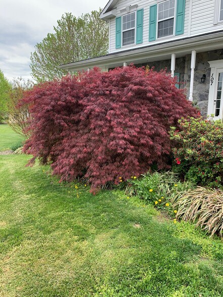 Building Photo - 107 Wheat Field Terrace