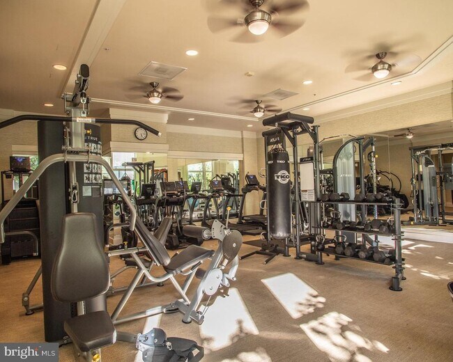 Building Photo - 8220 Crestwood Heights Dr
