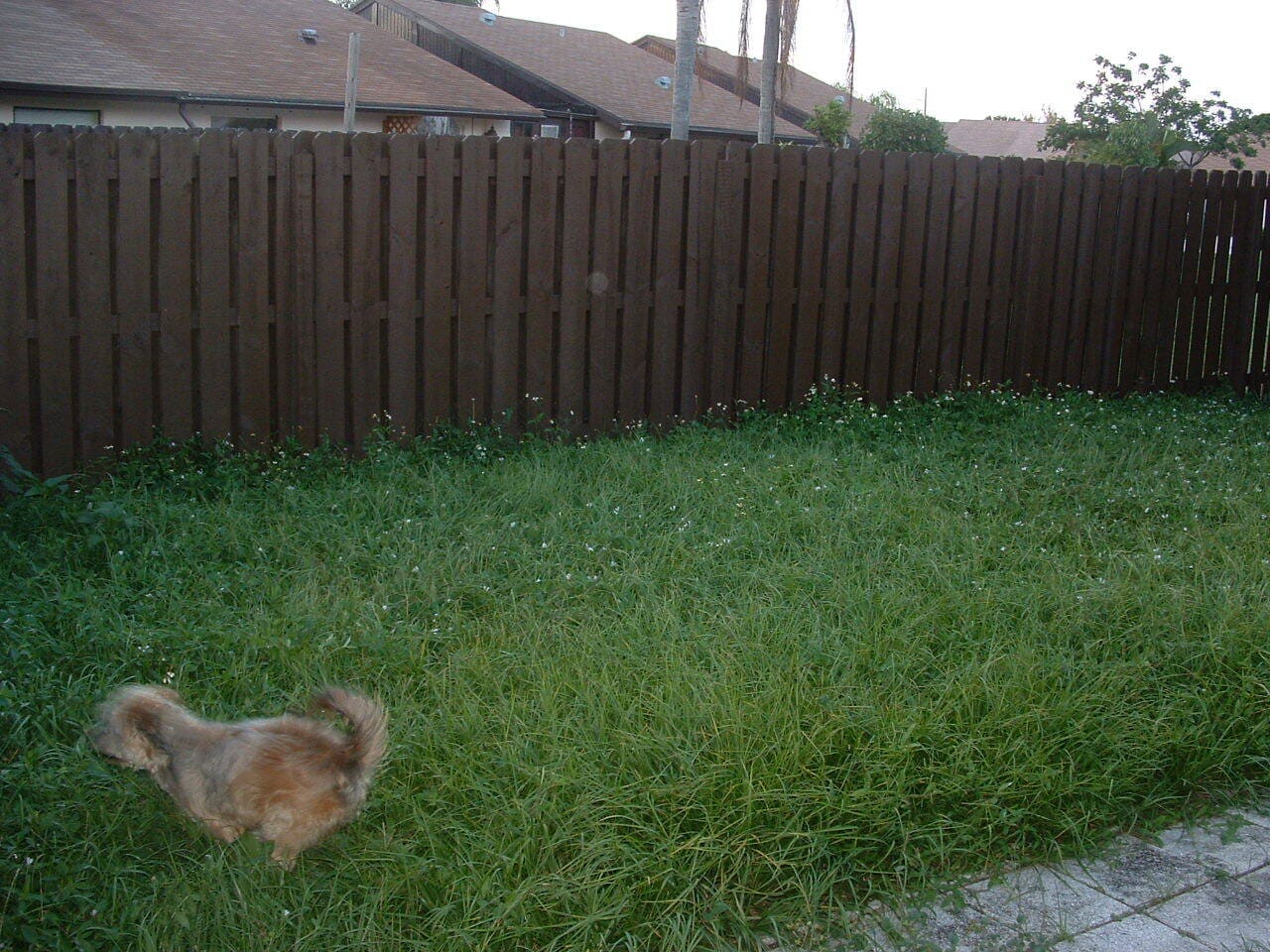 Building Photo - 5667 Barnstead Cir