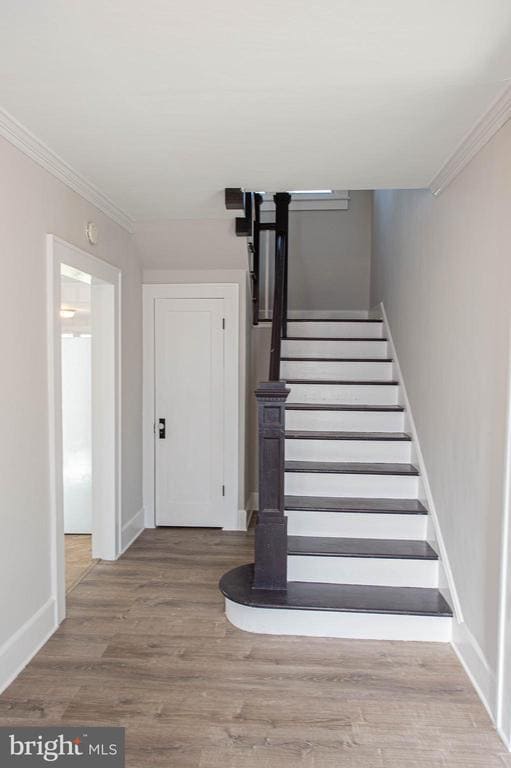 Building Photo - 417 Winder St