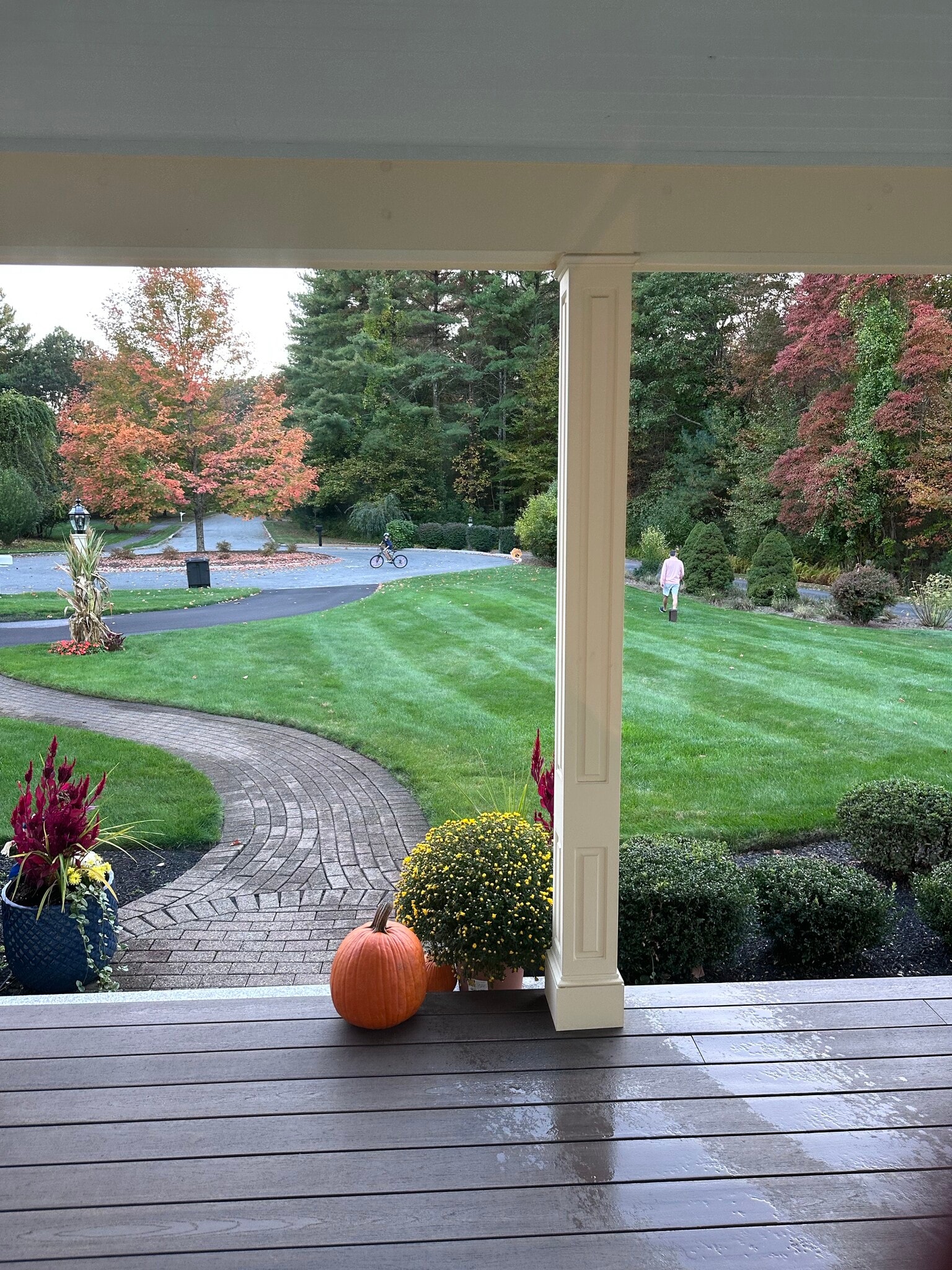 Front Yard From Porch - 10 Bartley Dr