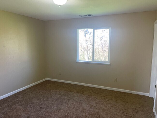 Building Photo - Renovated 3br/2ba on Large Lot