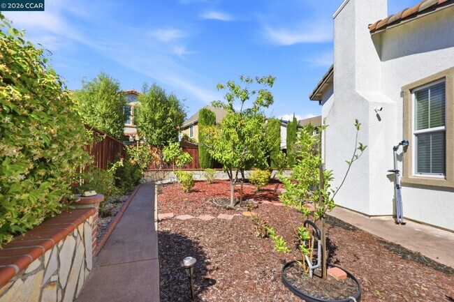 Building Photo - 165 Paddington Ct