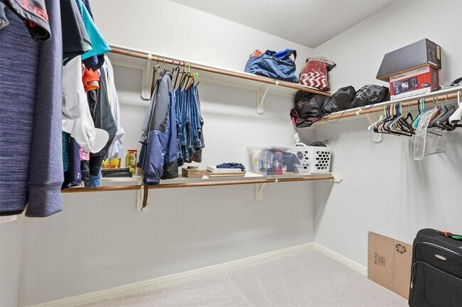 Building Photo - 58 Crocus Petal St