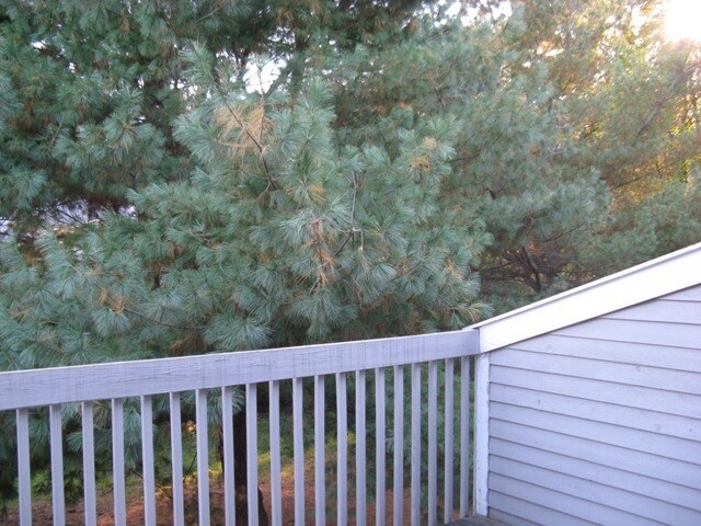 Tranquility and privacy - 107 Hilltop Dr