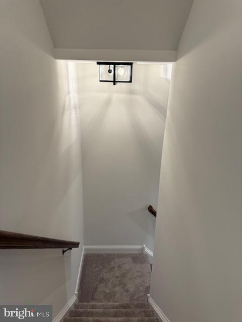 Building Photo - 316 Foxtail Ln