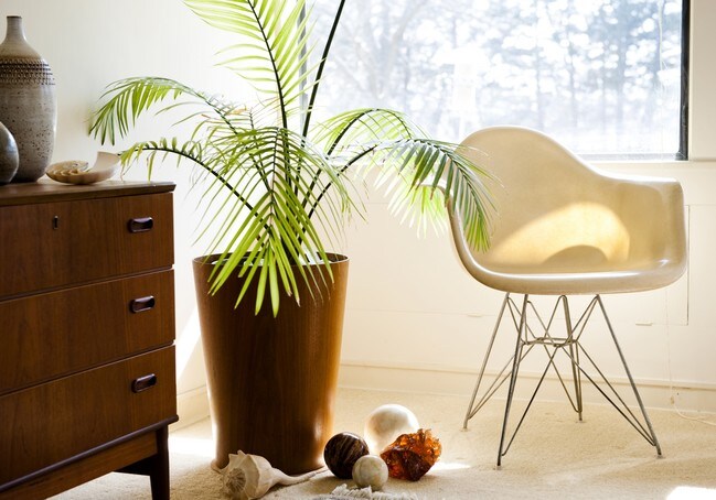 Building Photo - Perlite Apartments