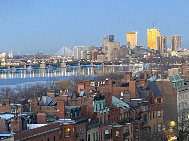 View from Bathroom - 483 Beacon St