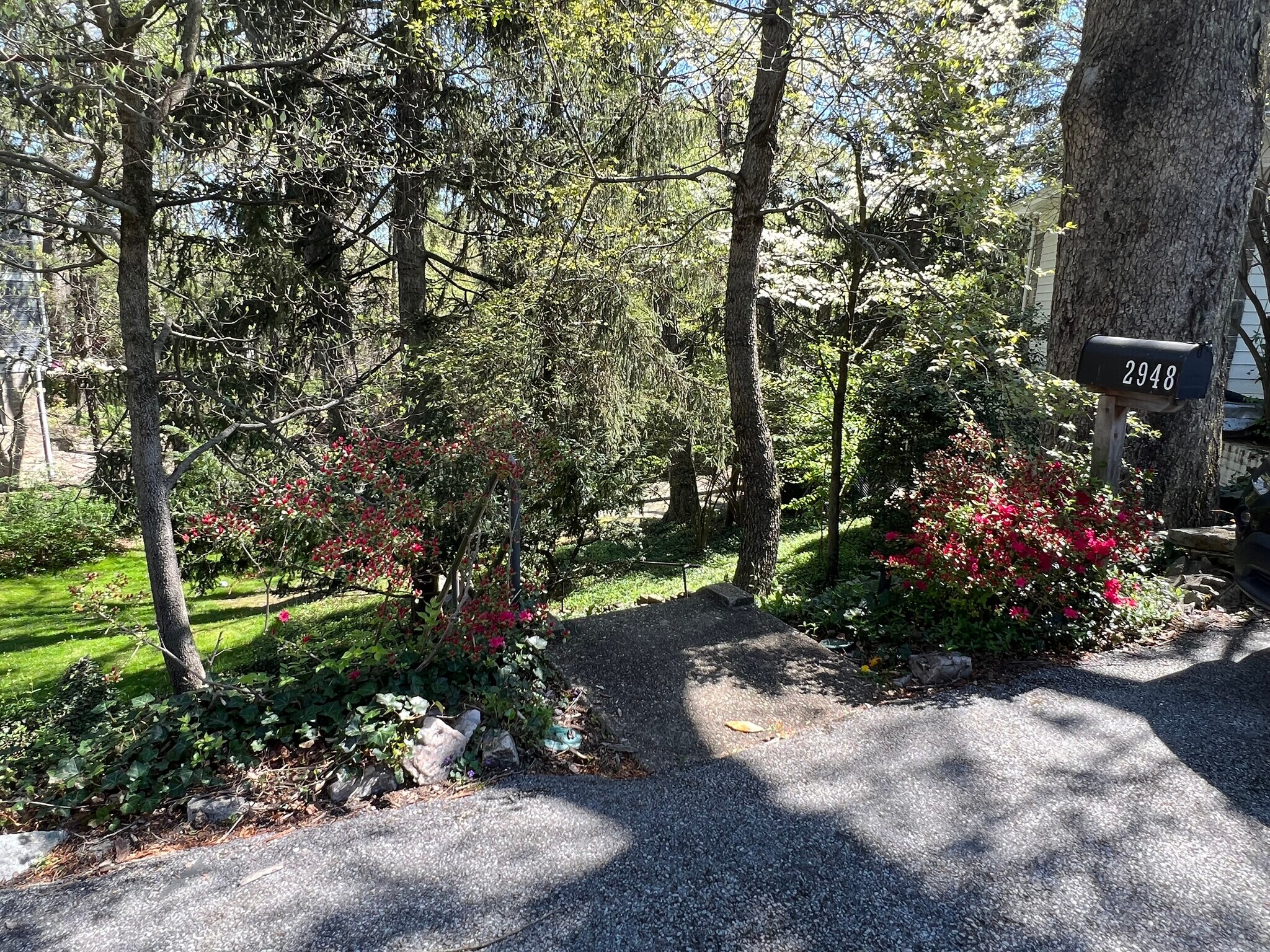 entrance - 2948 Albemarle St NW