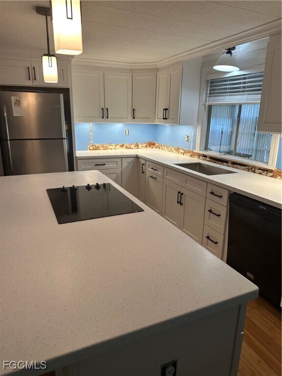 Building Photo - 148 Norfolk Pine Ln