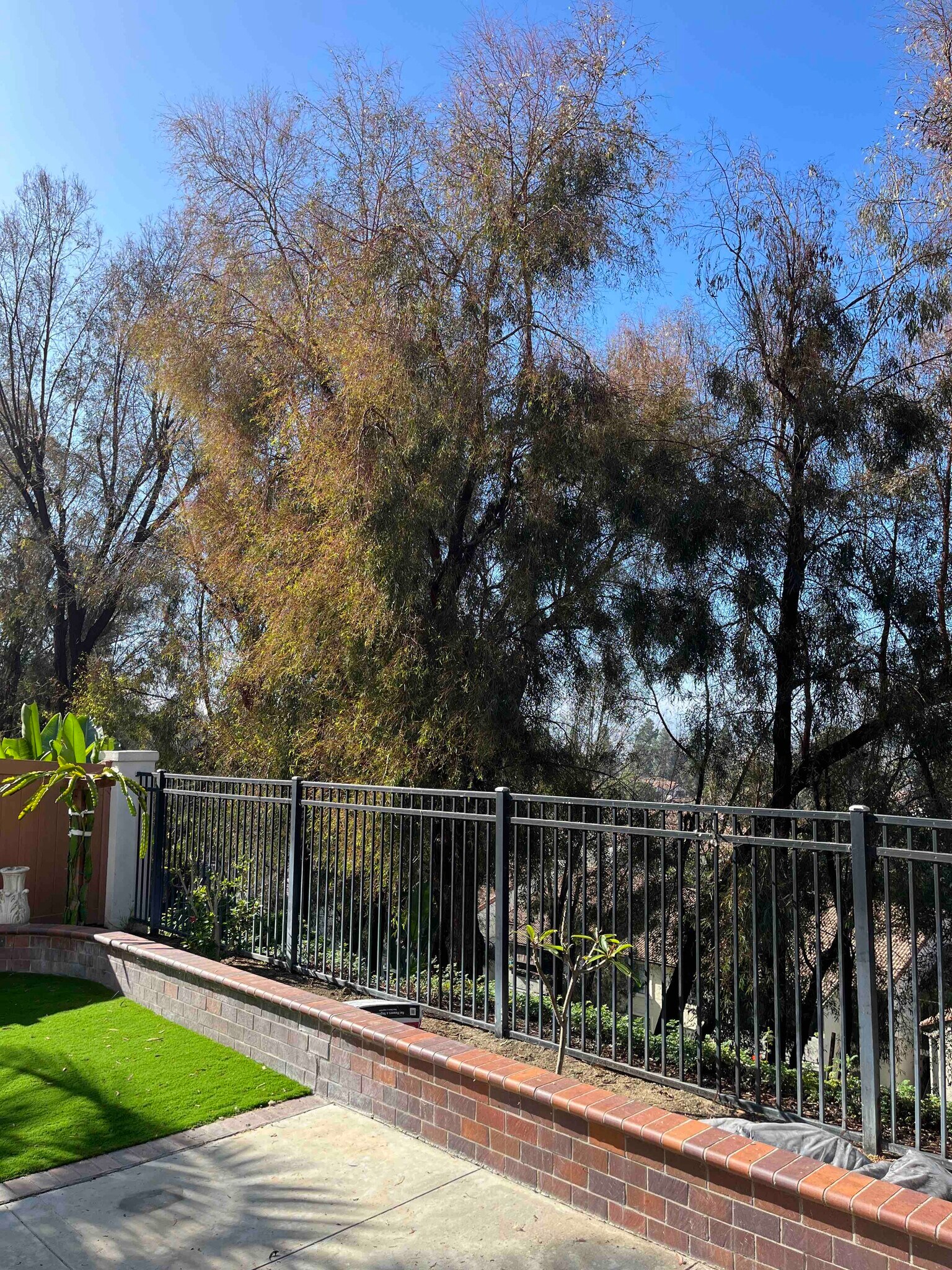 Building Photo - 28277 Via Luis