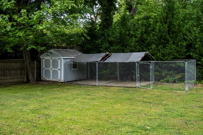 Building Photo - 12914 Fitzhugh Dr
