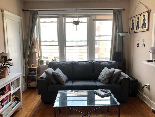 Building Photo - 233 Kelton St