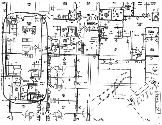 Floorplan - Oasis at Scholars Landing