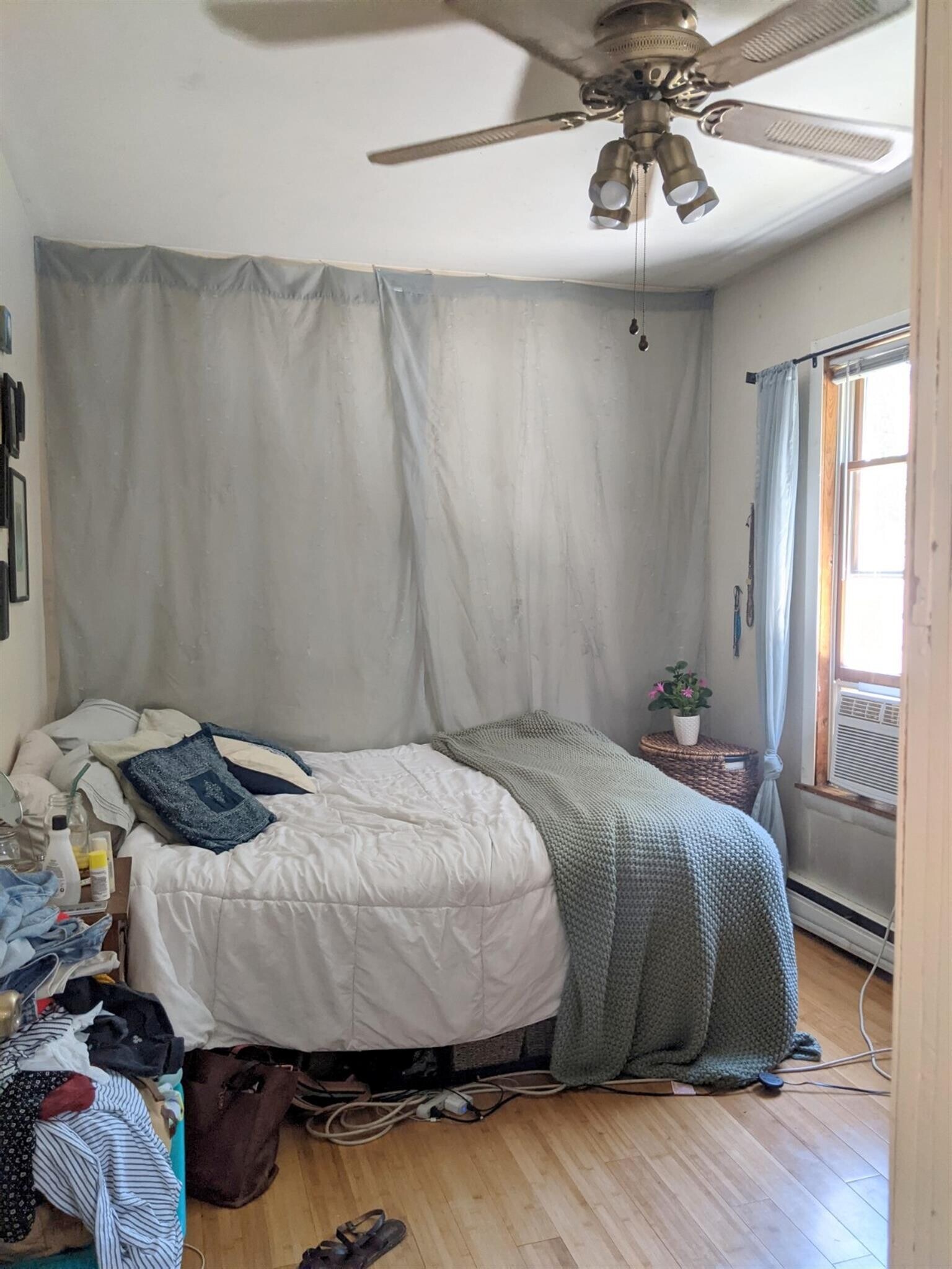 Building Photo - 50 Gorham St