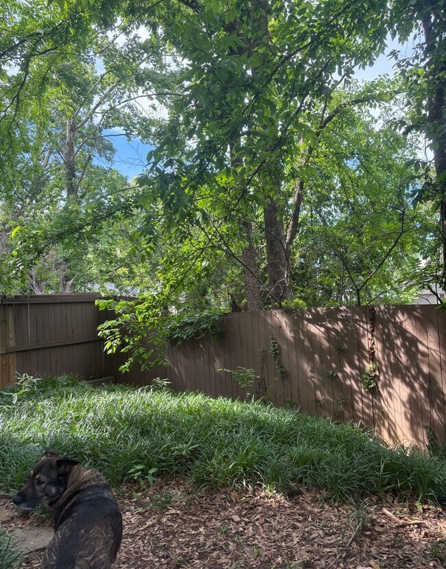 Building Photo - Roommate Needed!!  Walk to the Square! Available NOW...