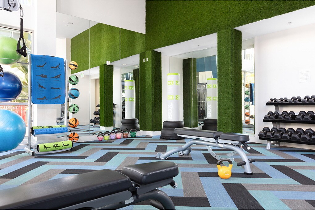 Avenue 64 Emeryville Ca Apartment Finder