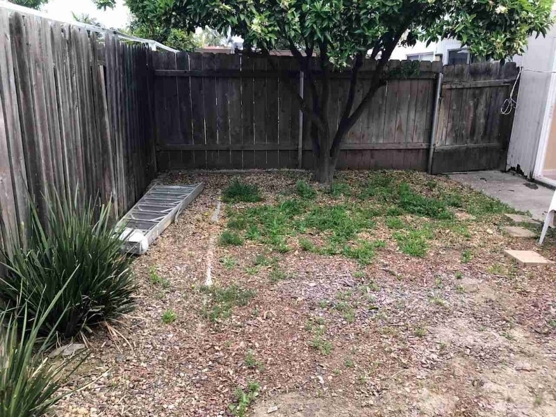 Building Photo - 4443 Estada Dr