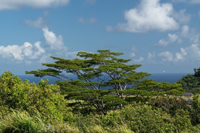 Building Photo - Elevated Haiku Retreat with Ocean Views, Designer Finishes & a Lush Edible Garden Sanctuary
