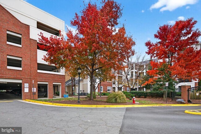 Building Photo - 12905 Centre Park Cir