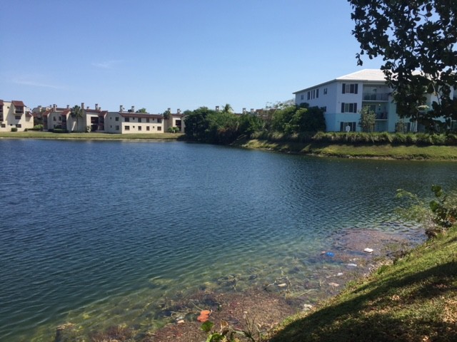 Lake - 8240 SW 149th Ct