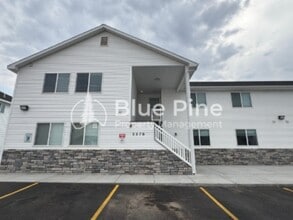 Building Photo - 3570 Colt Cir