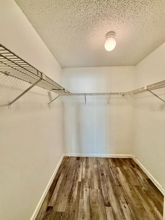 Building Photo - 4223 Summerdale Dr