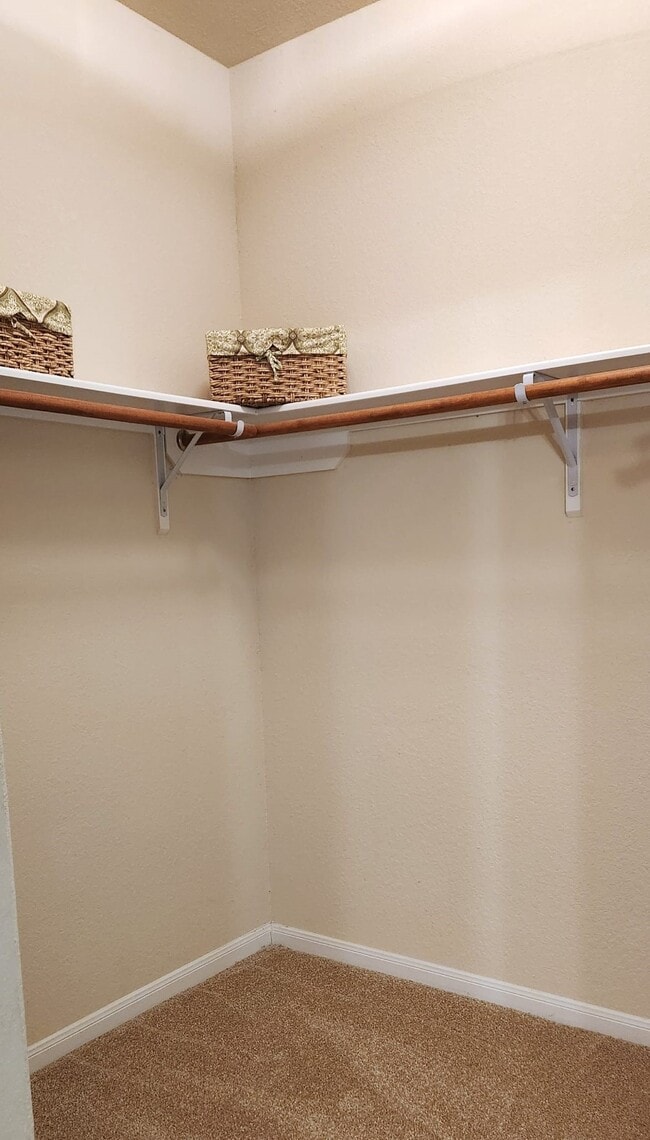 Building Photo - 13919 Bellows Gate Ct