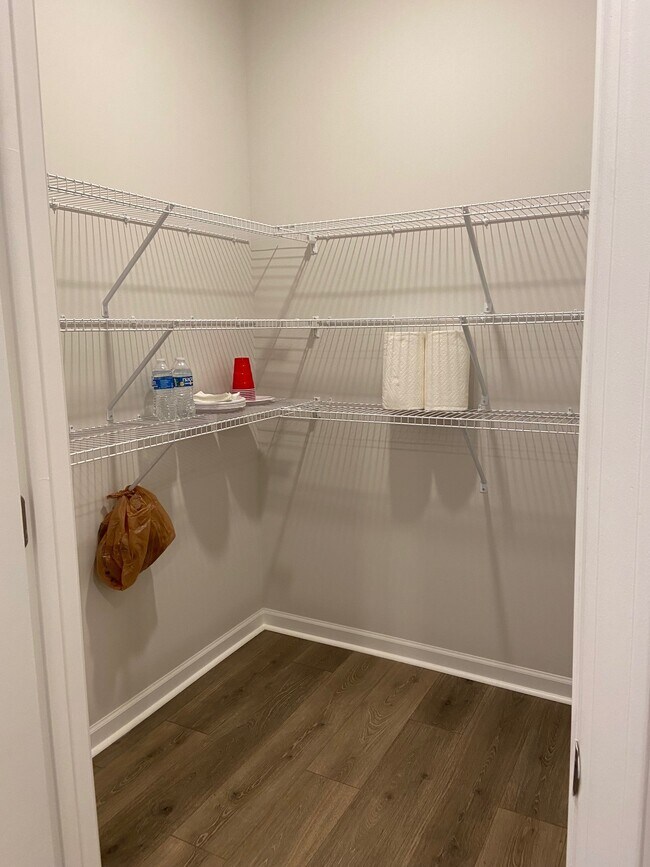 Large kitchen pantry - 256 Addison Ave