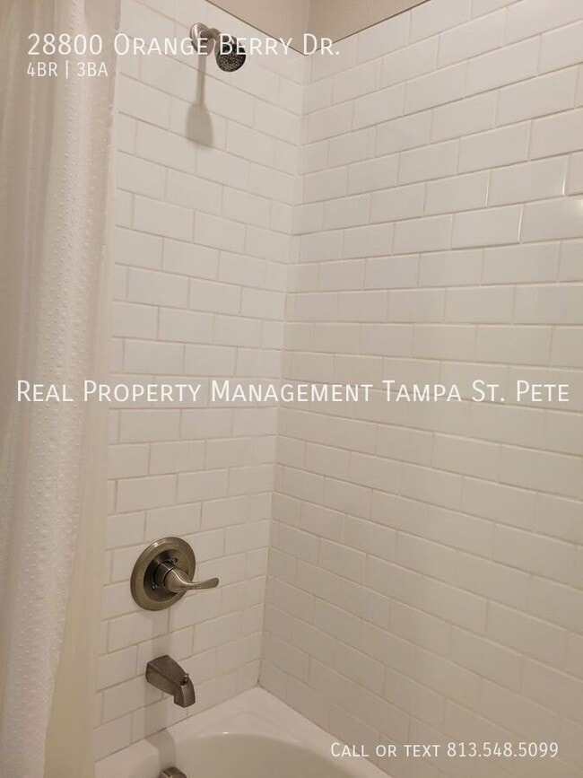 Building Photo - 28800 Orange Berry Dr