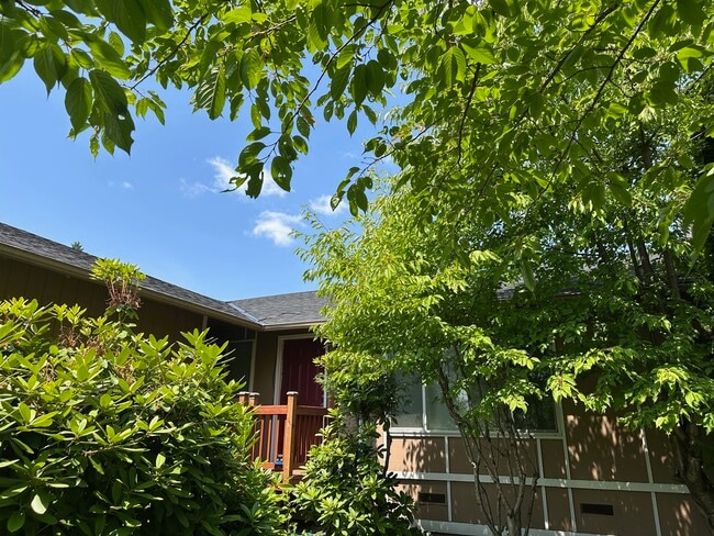 Primary Photo - 11316 SE 230th Pl
