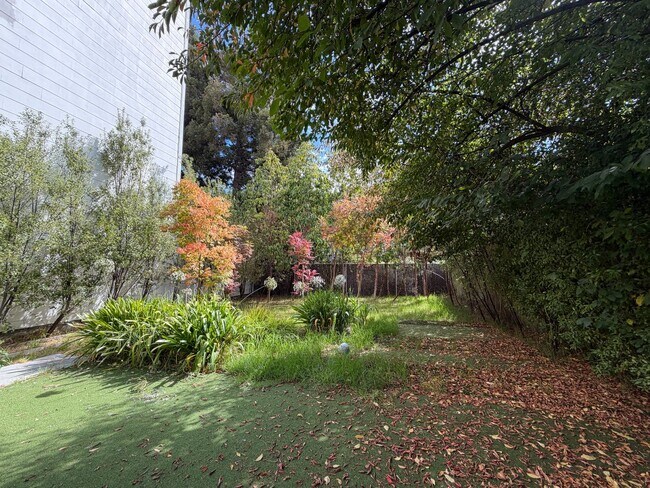 Building Photo - 261C Dolores St