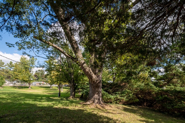 Building Photo - 3947 Setonhurst Rd