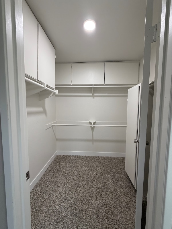 Building Photo - 11519 Fury Ln