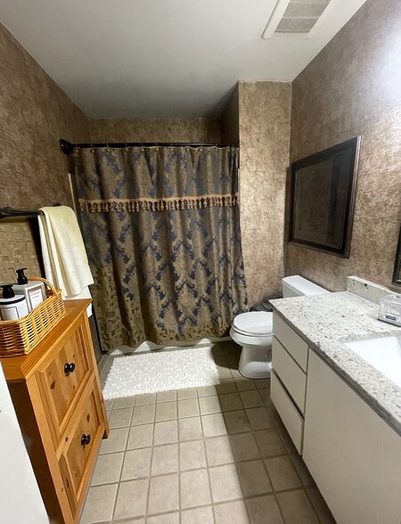 Main Bathroom - 105 Ellington Pl